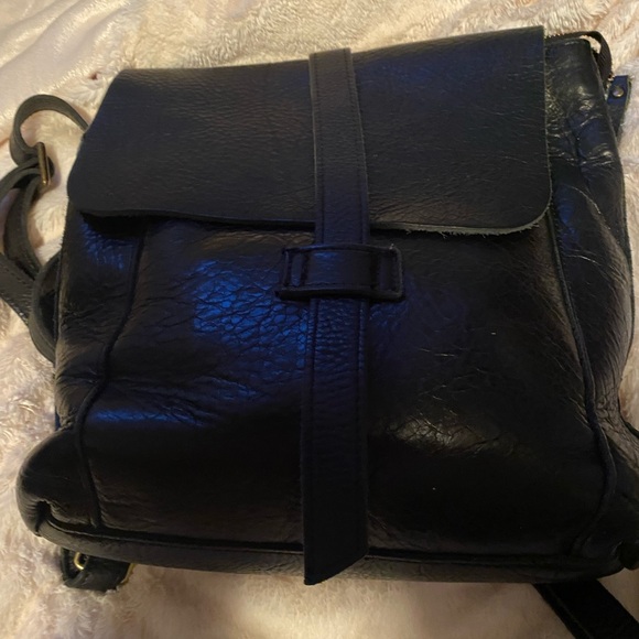 Duluth Trading Company back pack - Picture 1 of 8